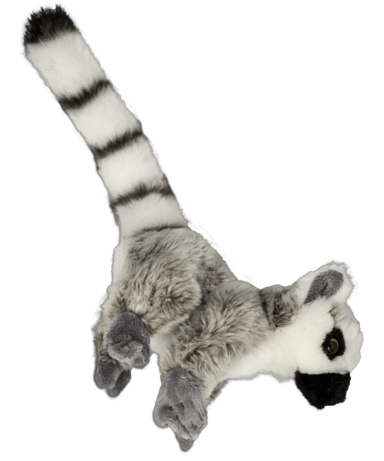 Lemur Fotos de cauda png.