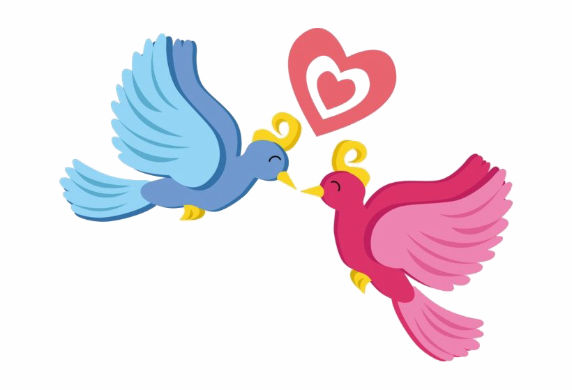 Amor pájaros transparente libre PNG