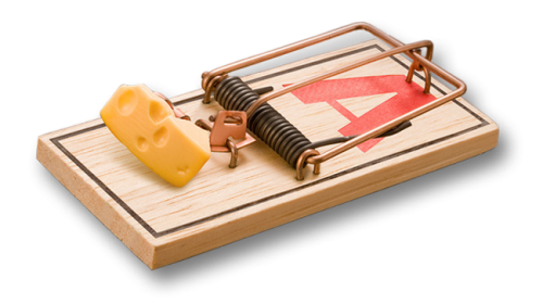 Mouse Trap No Background