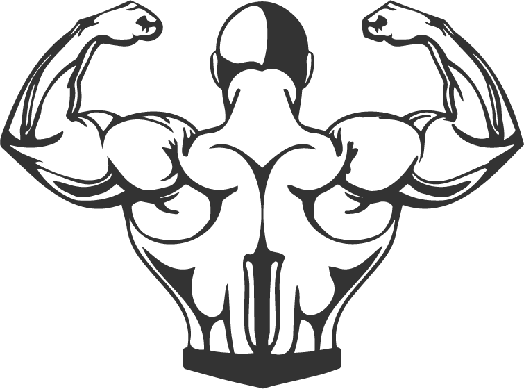 Muscle Background PNG Image