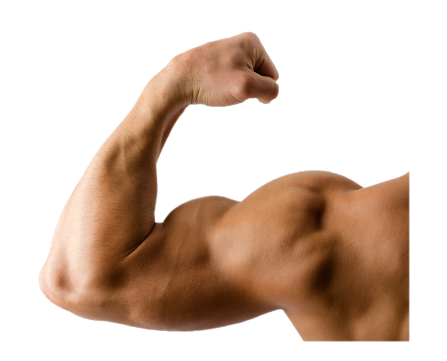 Muscle PNG HD Quality