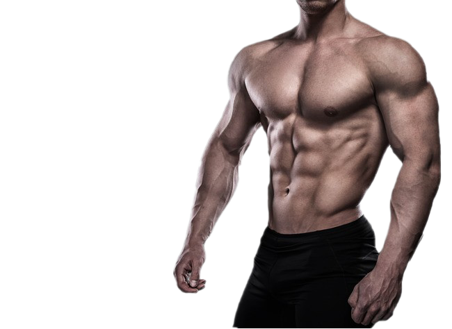 Muscle PNG Images HD