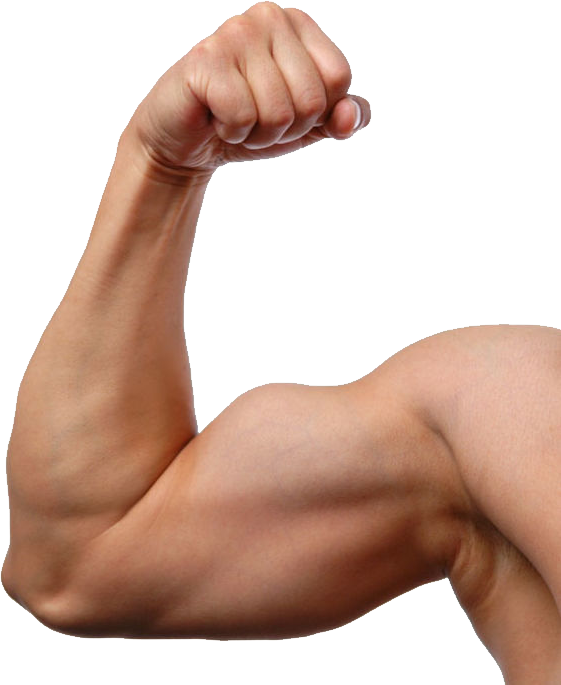 Muscle PNG Photos