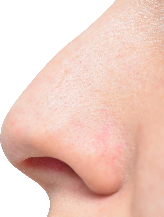 Nose Transparent Free PNG