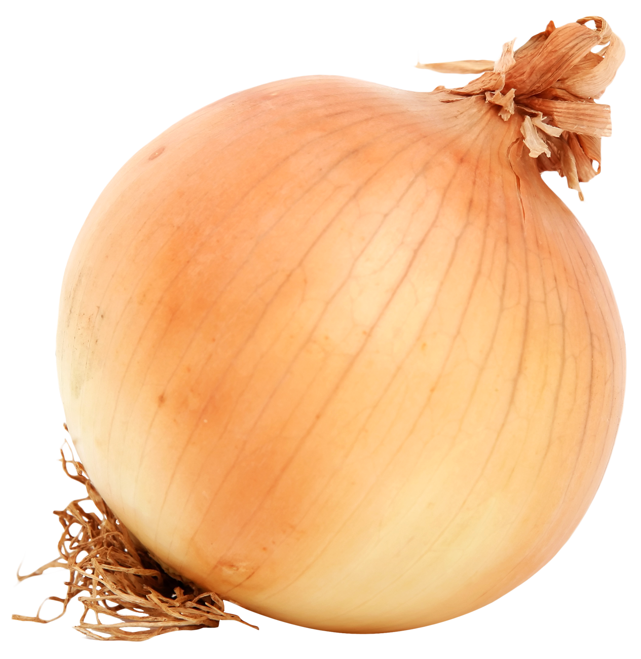 Onion Background PNG