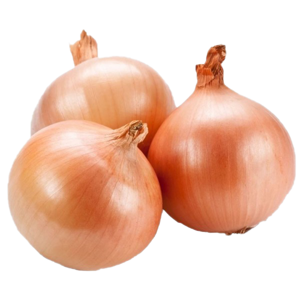 Onion Free PNG