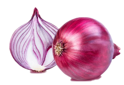Onion Free Picture PNG
