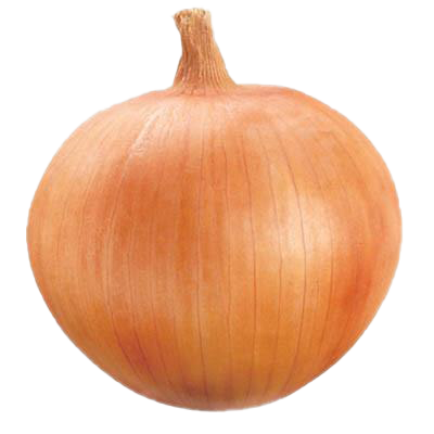 Onion PNG Clipart Background