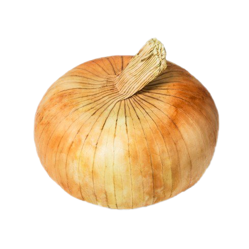 Onion PNG Free File Download