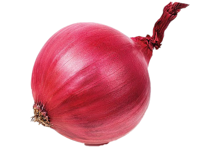 Onion PNG HD Quality