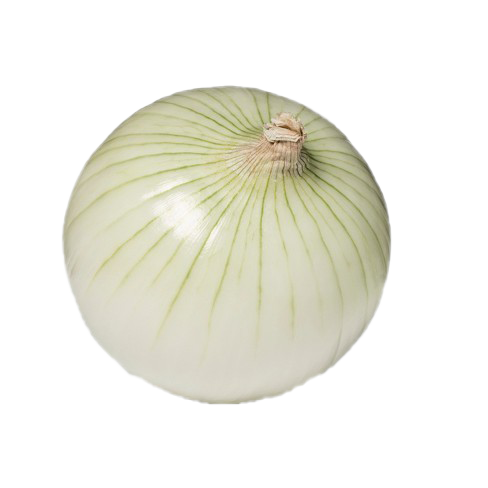 Onion PNG Images HD