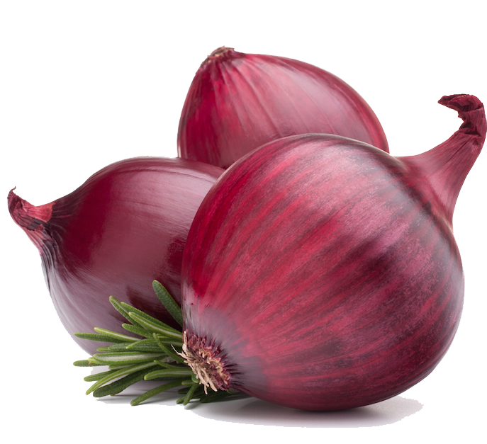 Onion PNG Photos