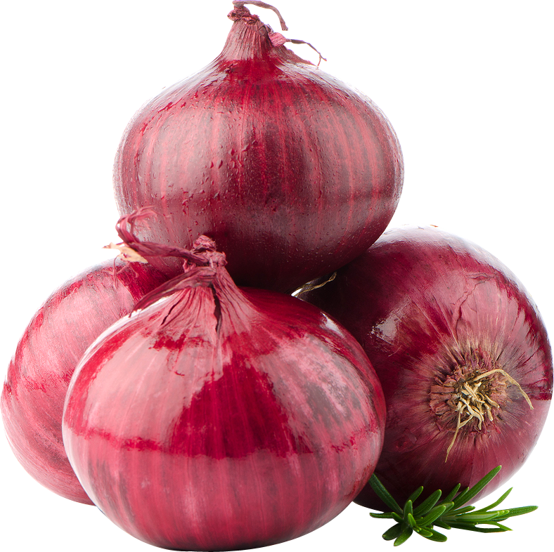 Onion PNG Pic Background