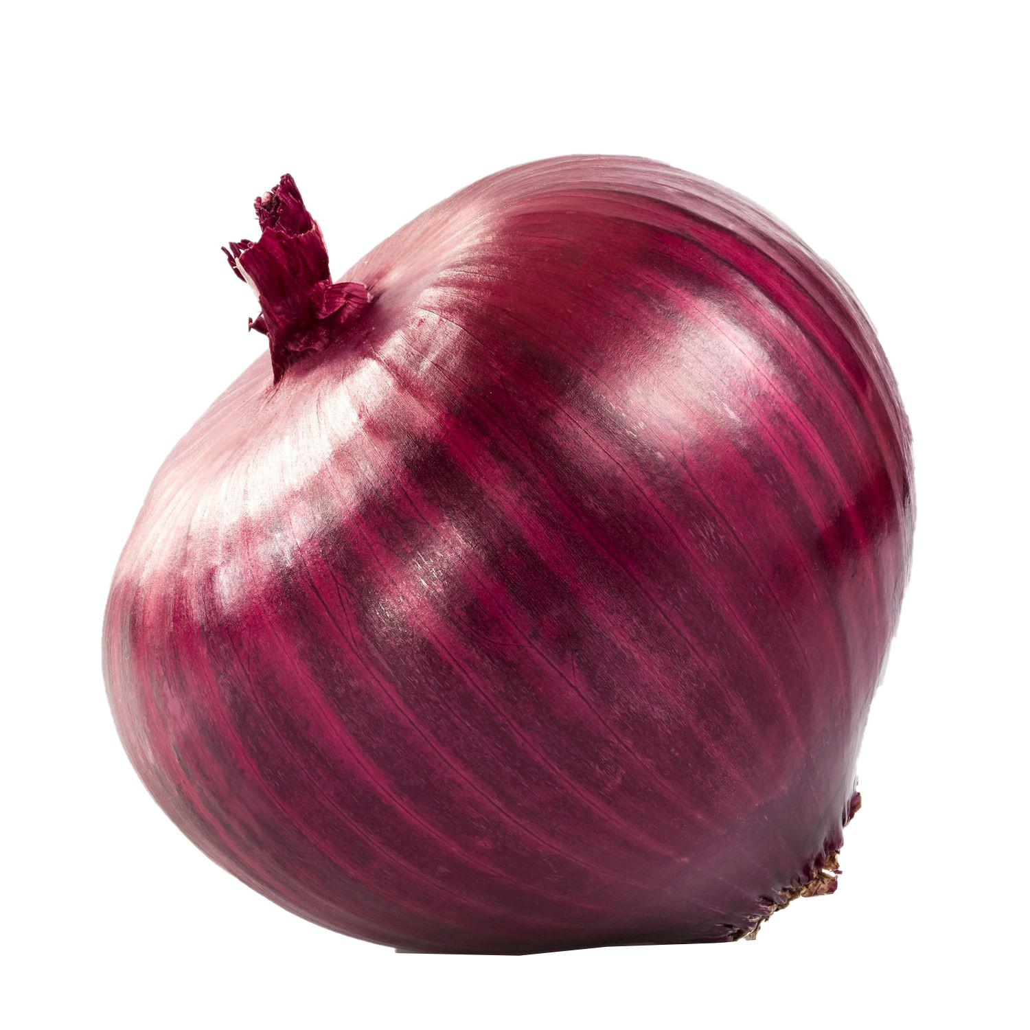 Onion Transparent Background