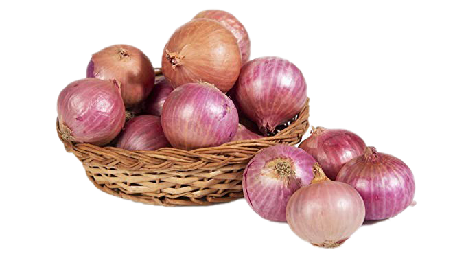 Onion Transparent Free PNG
