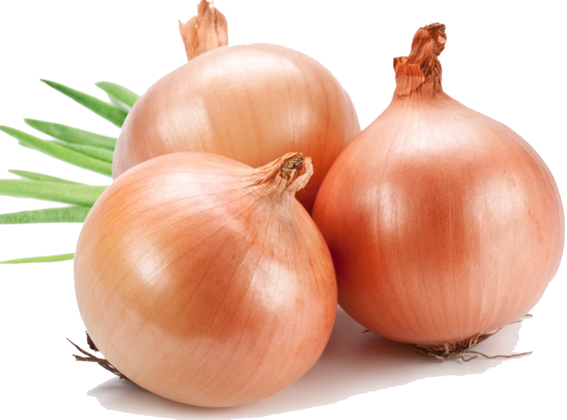 Onion Transparent Image
