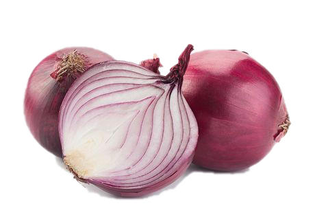 Onion Transparent Images