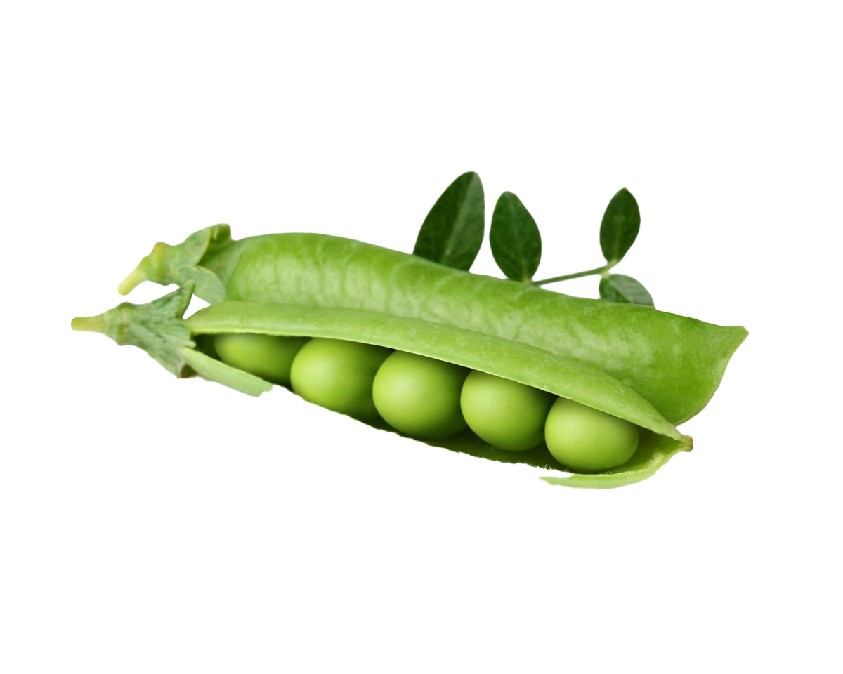 Pea Background PNG Image