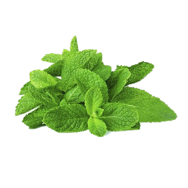 Peppermint Download Free PNG