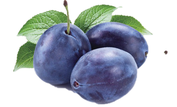 Plum PNG Images HD