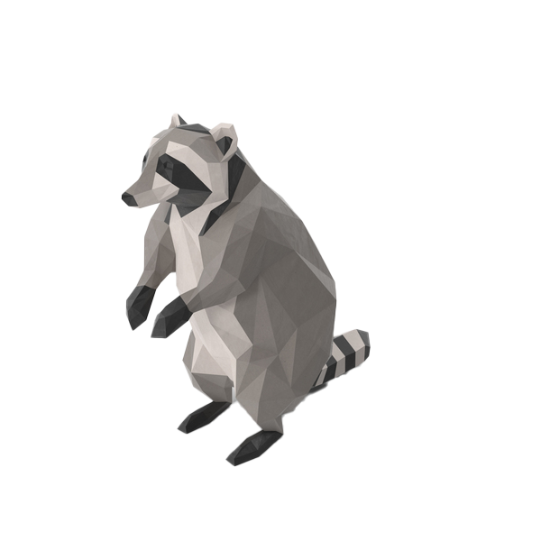 Raccoon Background PNG