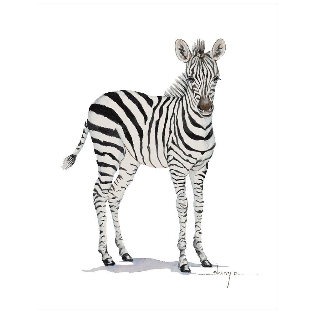 Realistic Fundo Transparente zebra.