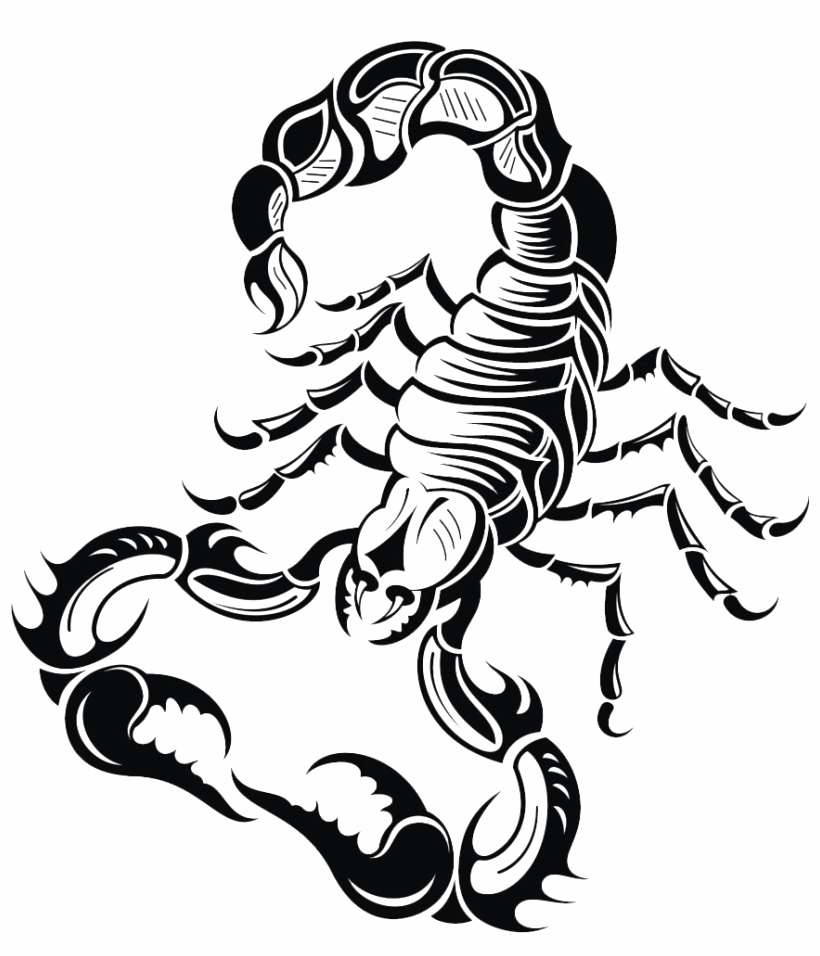 Scorpion PNG Clipart Background