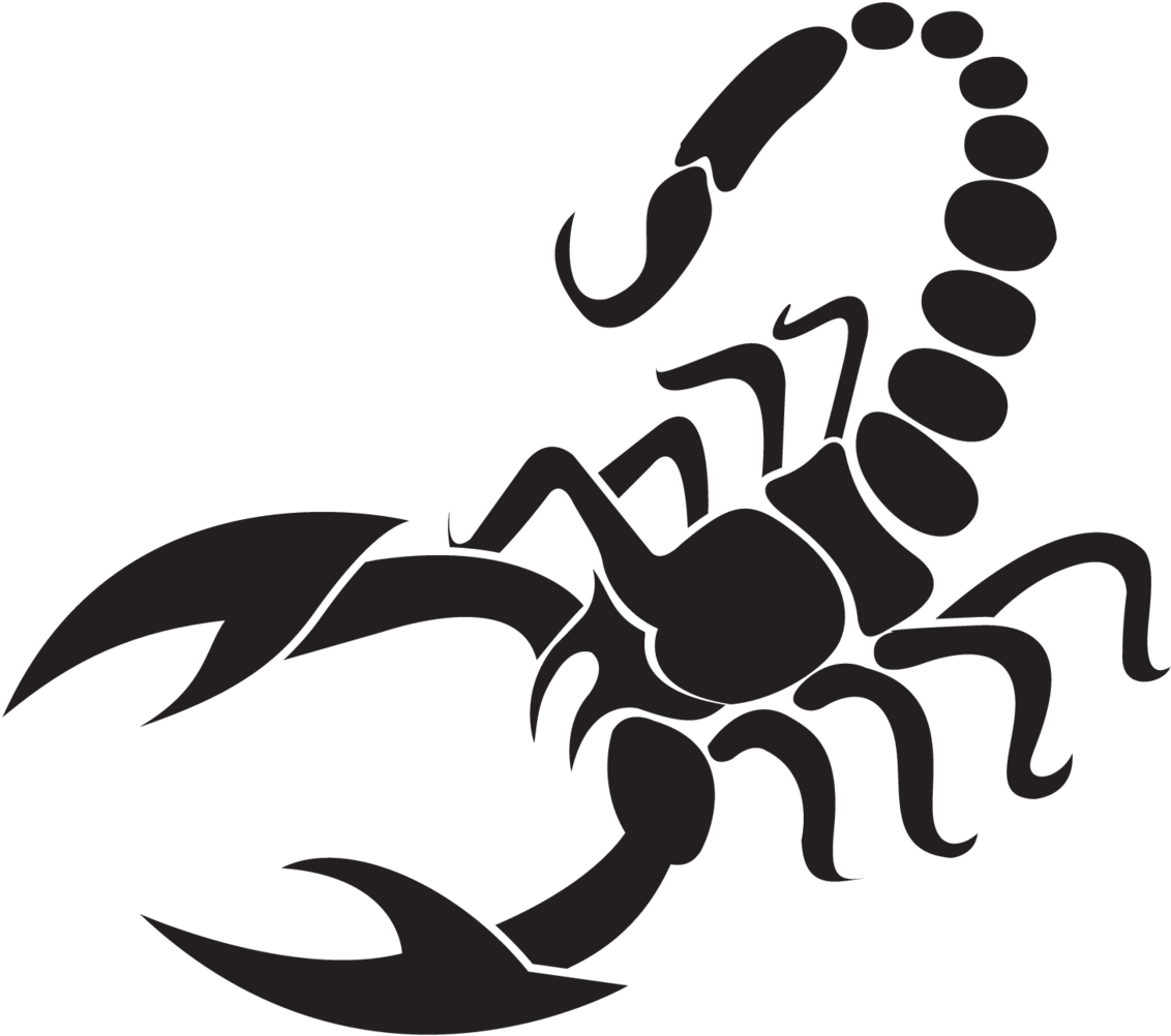Scorpion PNG Photo Image