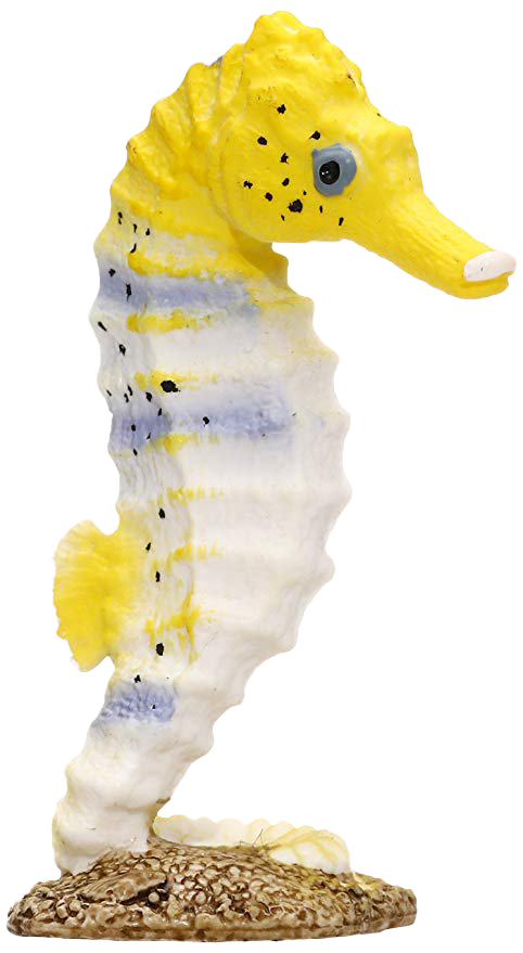 Seahorse transparante afbeelding