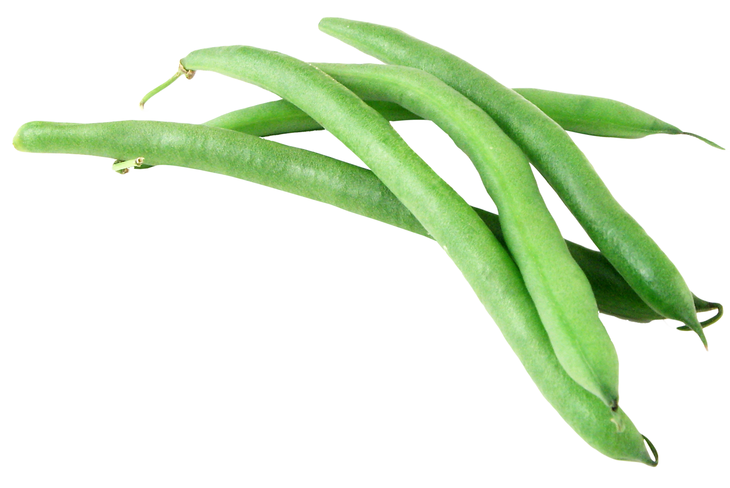 Single Green Bean Transparent File