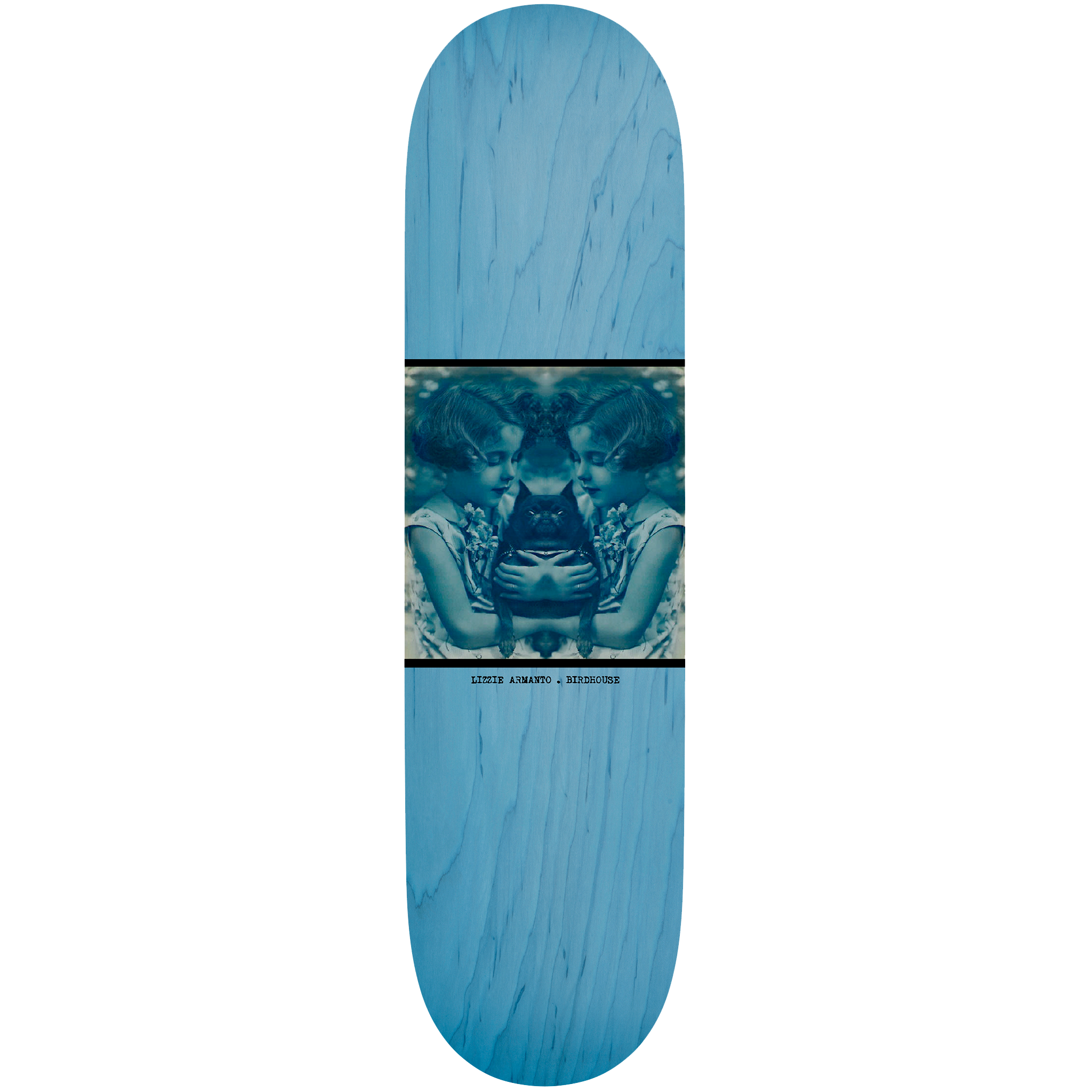 Skateboard Transparent PNG