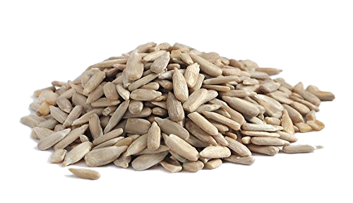 Sunflower Seeds PNG Free File Download