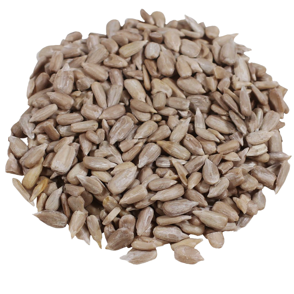 Sunflower Seeds PNG Images HD