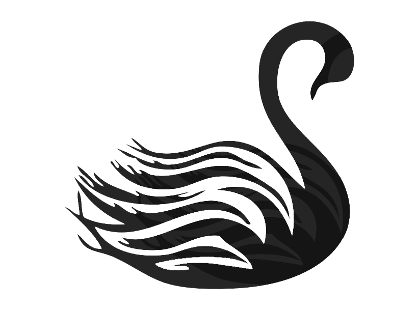 Swan PNG Clipart Background