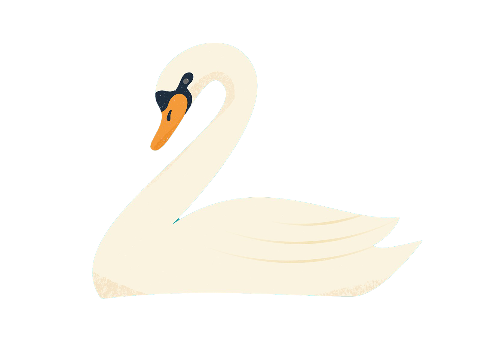Swan Transparent Free PNG