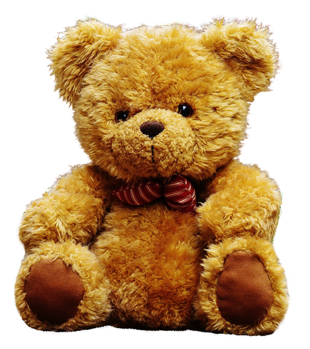 Teddy Bear Download Free PNG