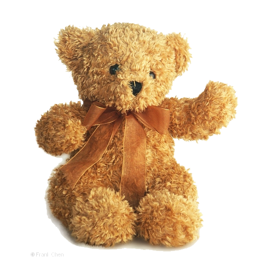 Teddy Bear Transparent File