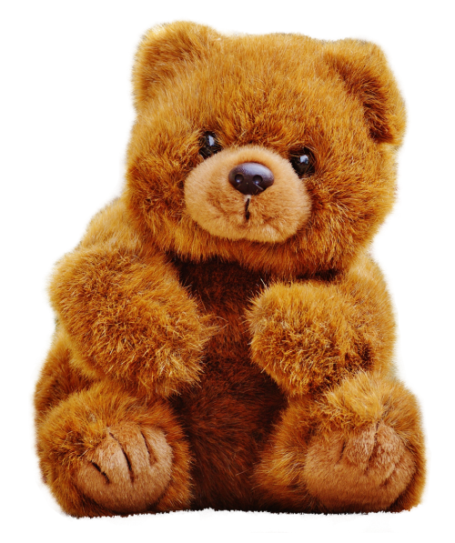 Teddy Bear Transparent Free PNG