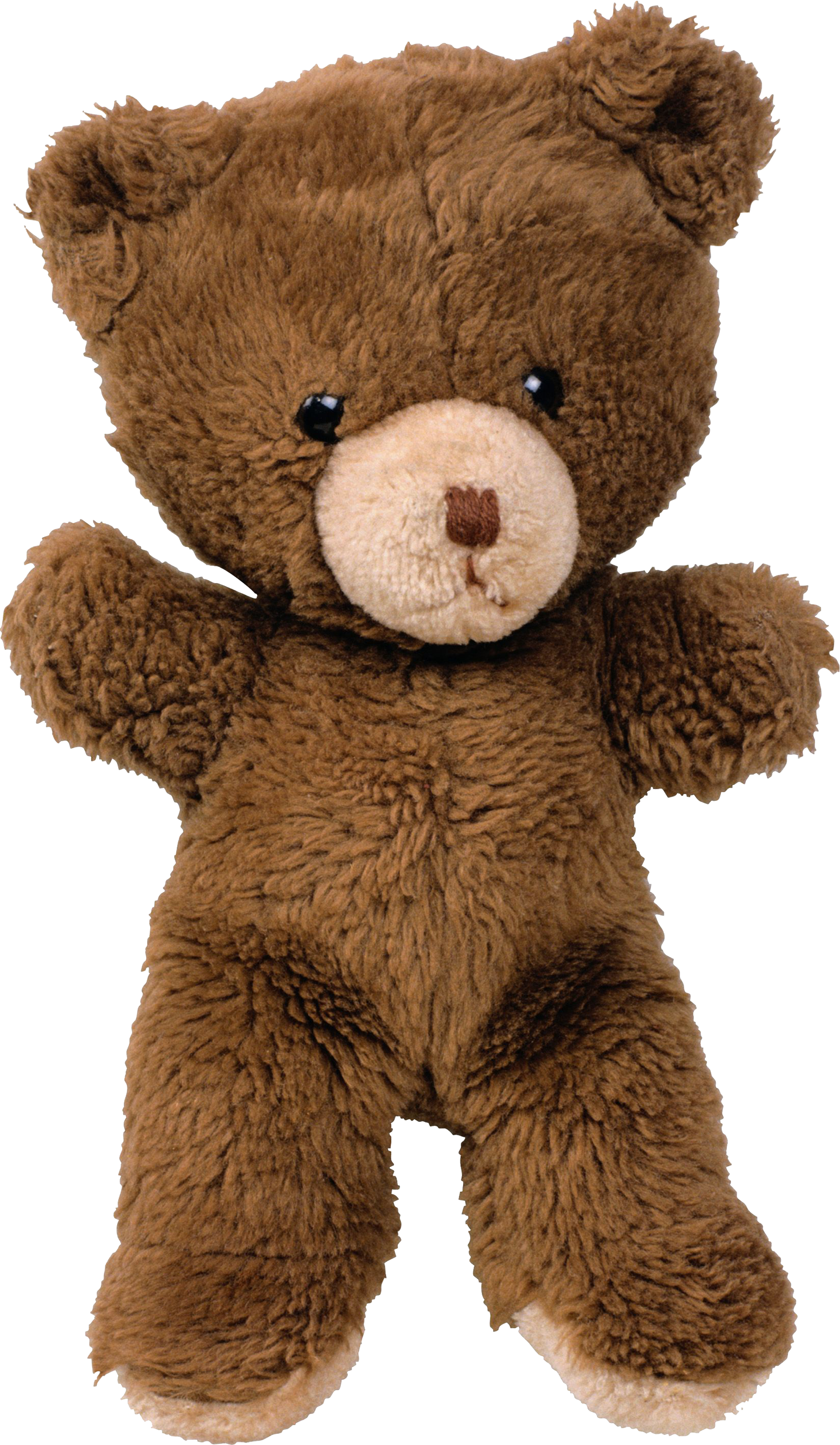 Teddy Bear Transparent Image
