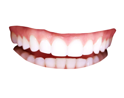 치아 투명한 무료 PNG