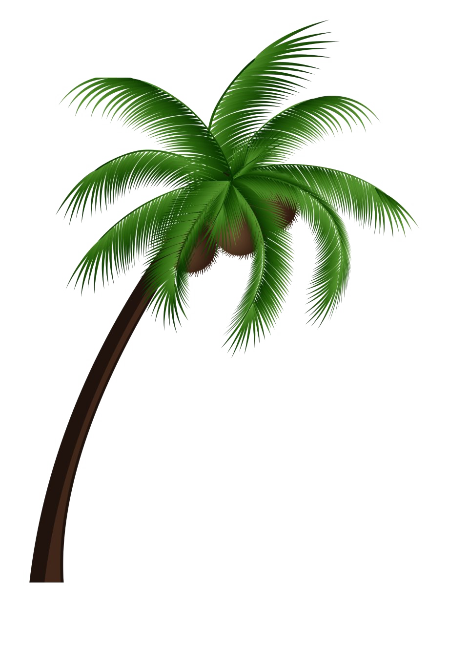 Tropical Palm Tree Transparent Background