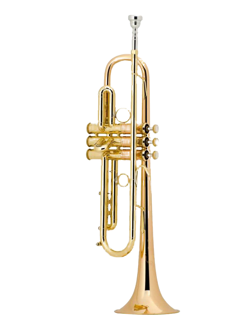 Trumpet PNG Pic Background