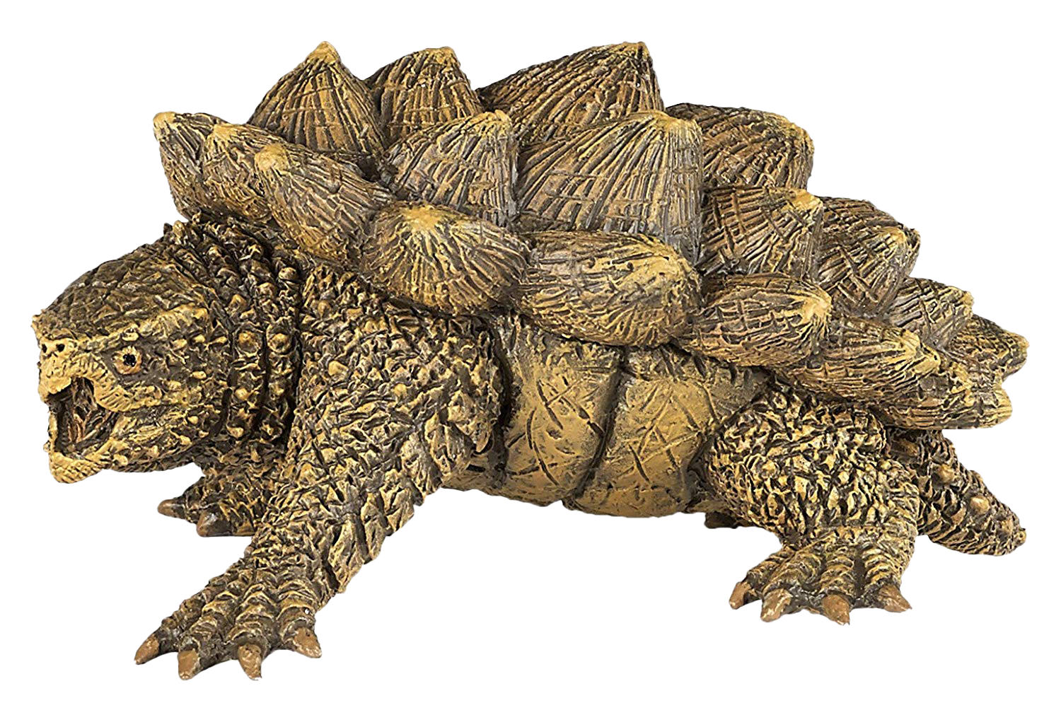Turtle Free PNG