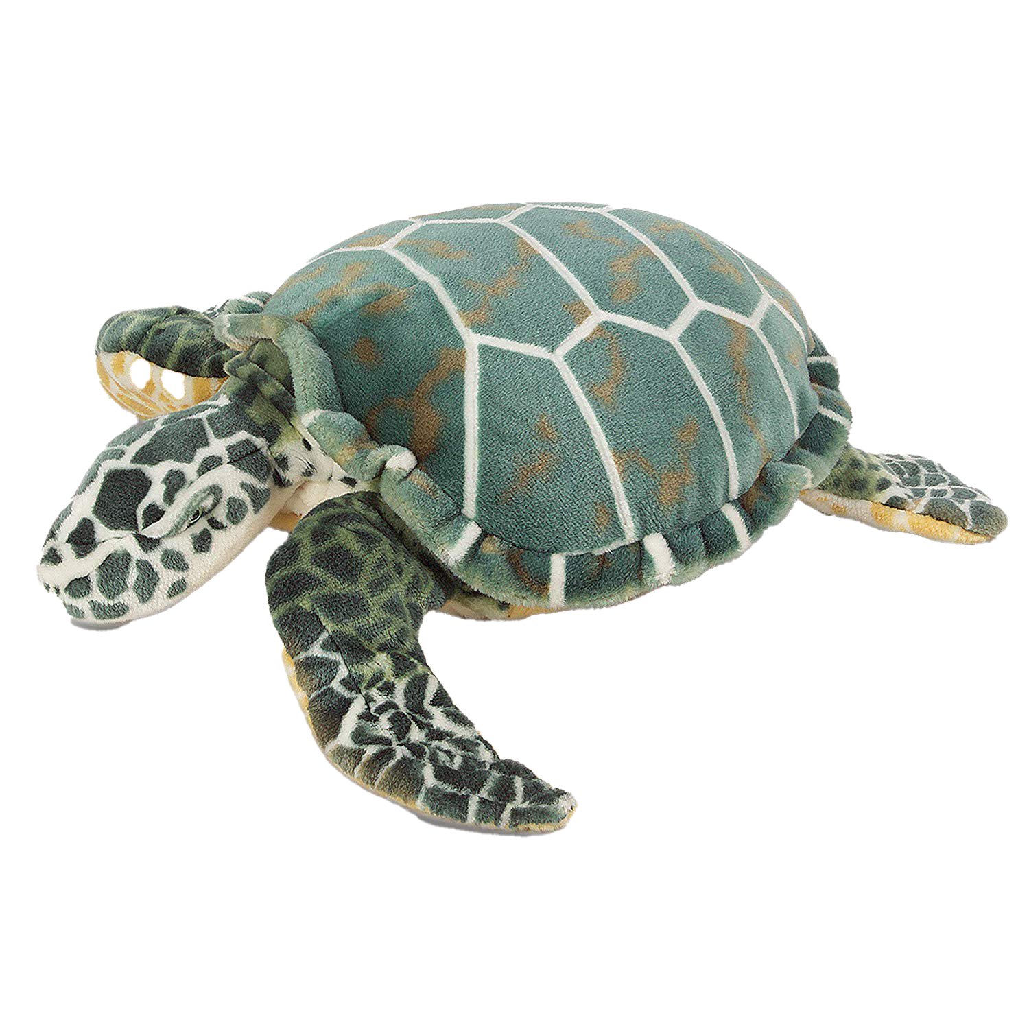 Turtle Transparent Images