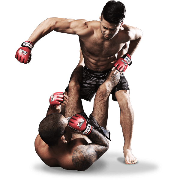 UFC Fighter descarga gratis PNG
