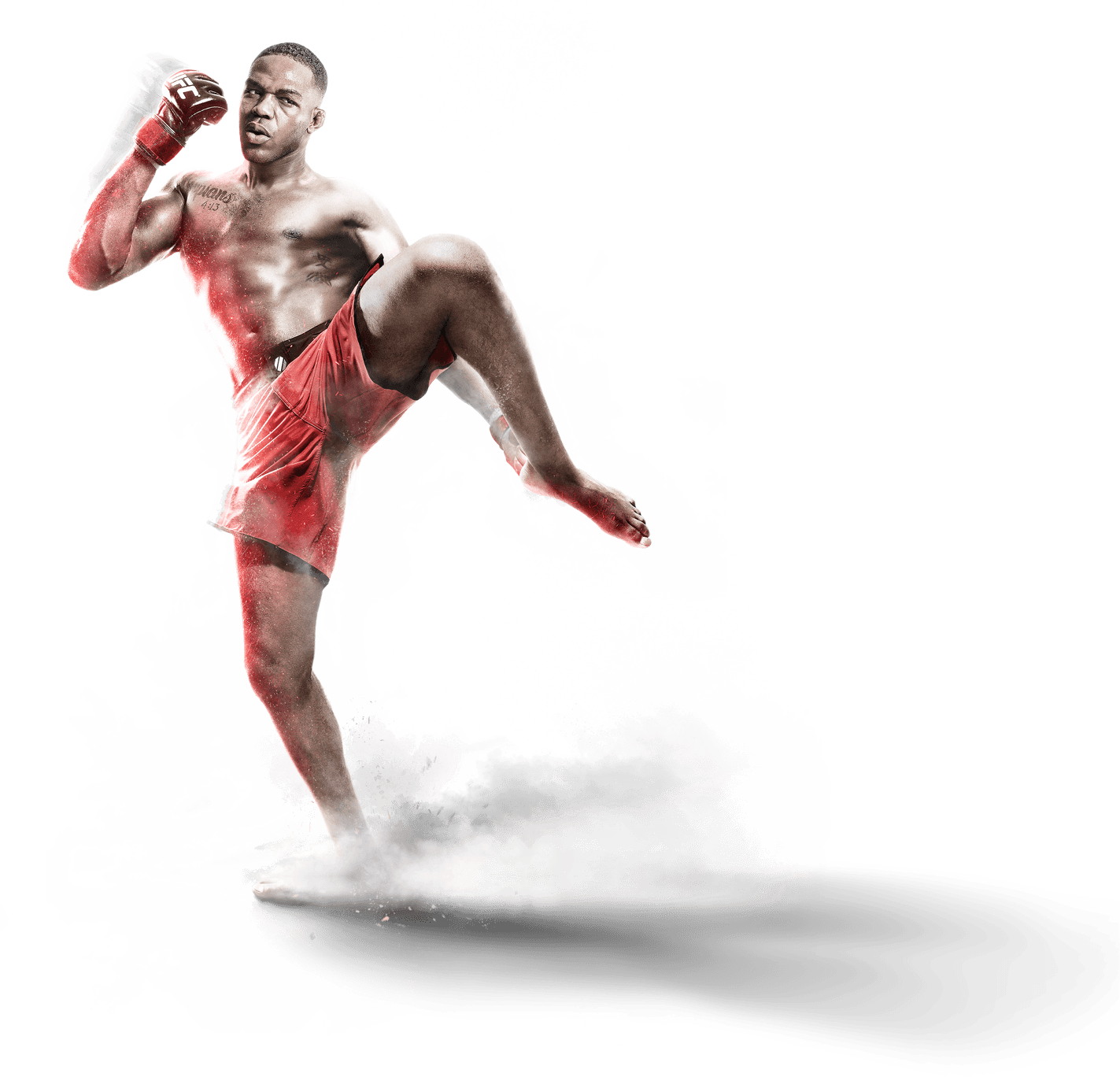 UFC مقاتلة PNG الصور