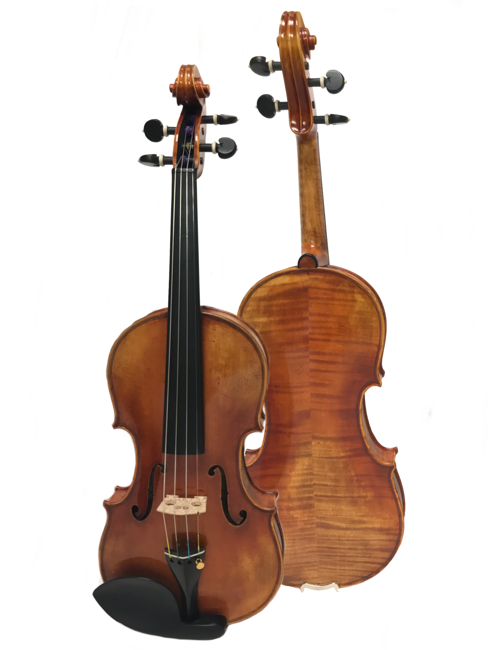 Violin Background PNG