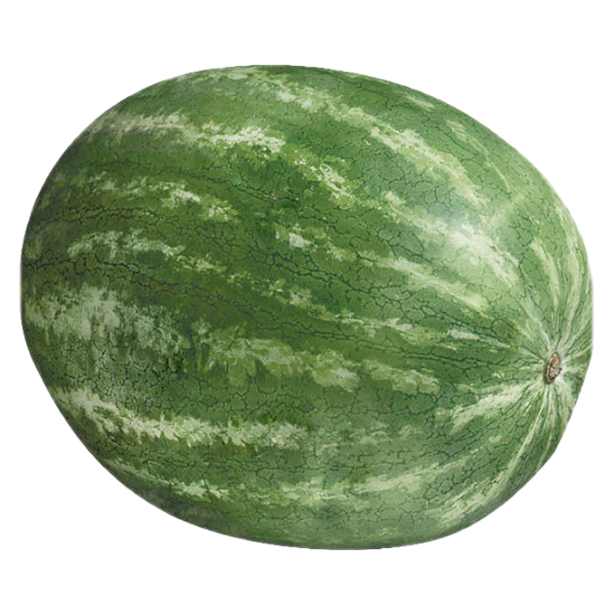 Watermelon Download Free PNG