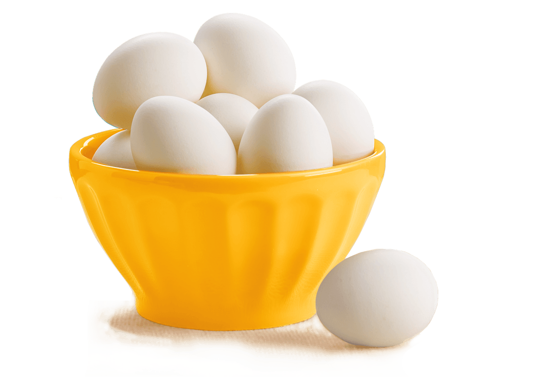 White Eggs Transparent File