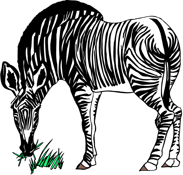 Zebra transparan PNG gratis